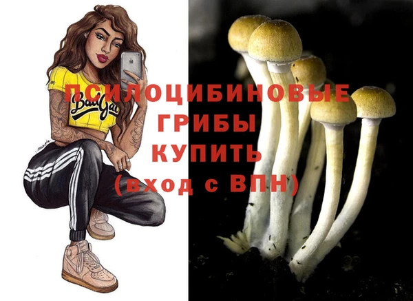 мяу мяу мука Богородск