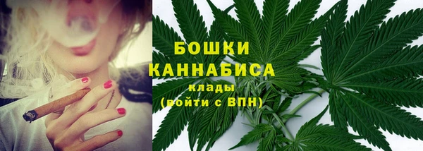 apvp Богородицк